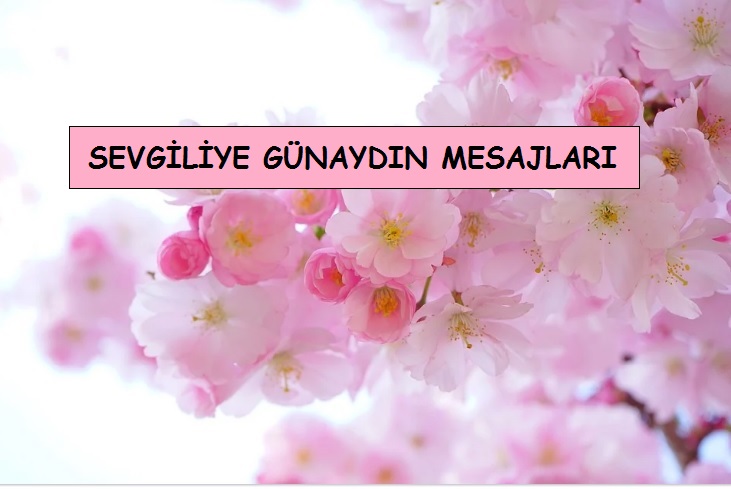 Sevgiliye Günaydın Mesajları | Etkileyici, Romantik, Anlamlı, kısa ve Uzun Mesajlar