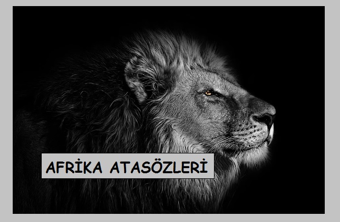 Afrika Atasözleri II