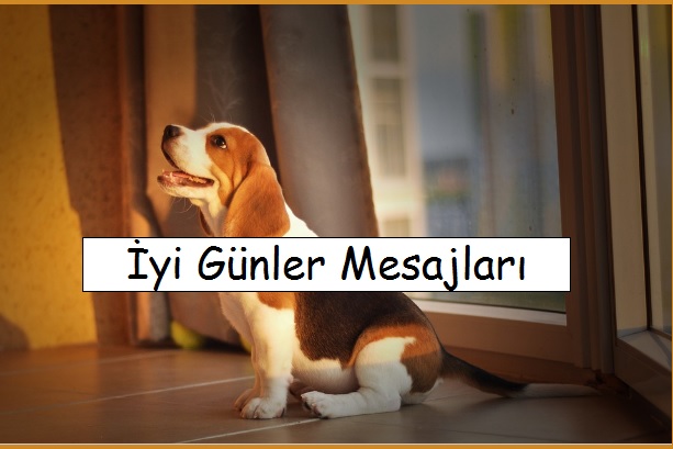 İyi Günler Mesajları ( Sevgiliye, Arkadaşa )