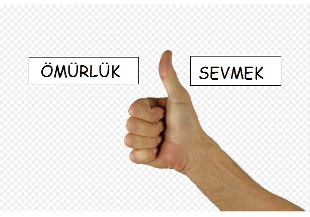 Ömürlük Sevmek, Sevgiliye Ömürlük Sözler