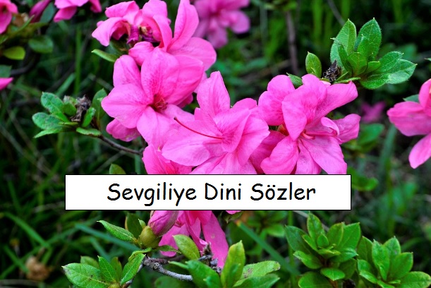 Sevgiliye Dini Sözler ( Eşe Dini Sözler )