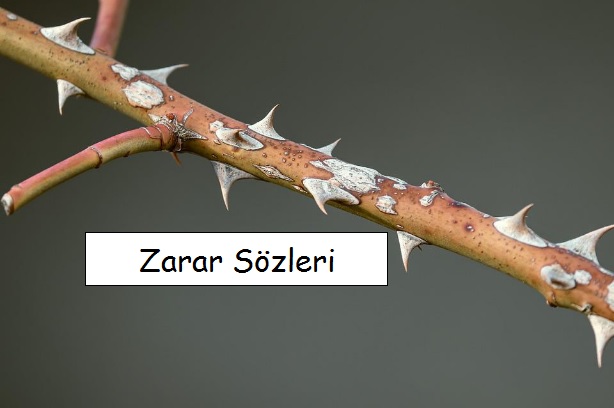 Zarar Sözleri, Zarar ile ilgili Cümleler