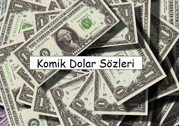 Komik Dolar Sözleri, Dolar Esprileri