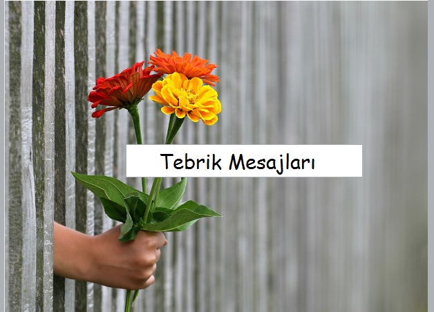 Tebrik Sözleri | Evlilik, Başarı, iş, Kutlama Tebrikleri ..