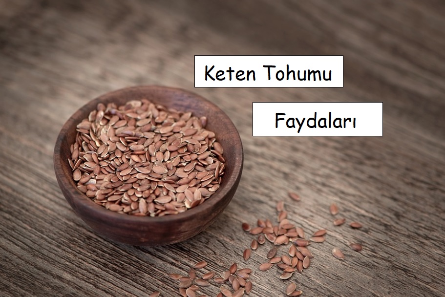 Keten Tohumu: Faydaları ve Özellikleri