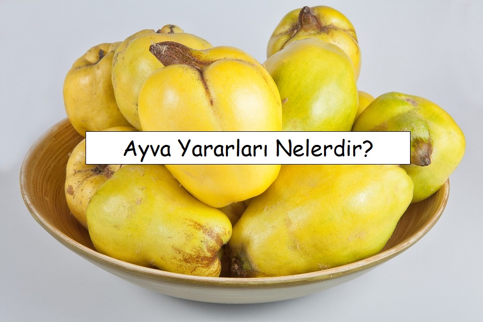 Ayva Yararları: Bağışıklığı Güçlendirir ve Sağlığı Korur