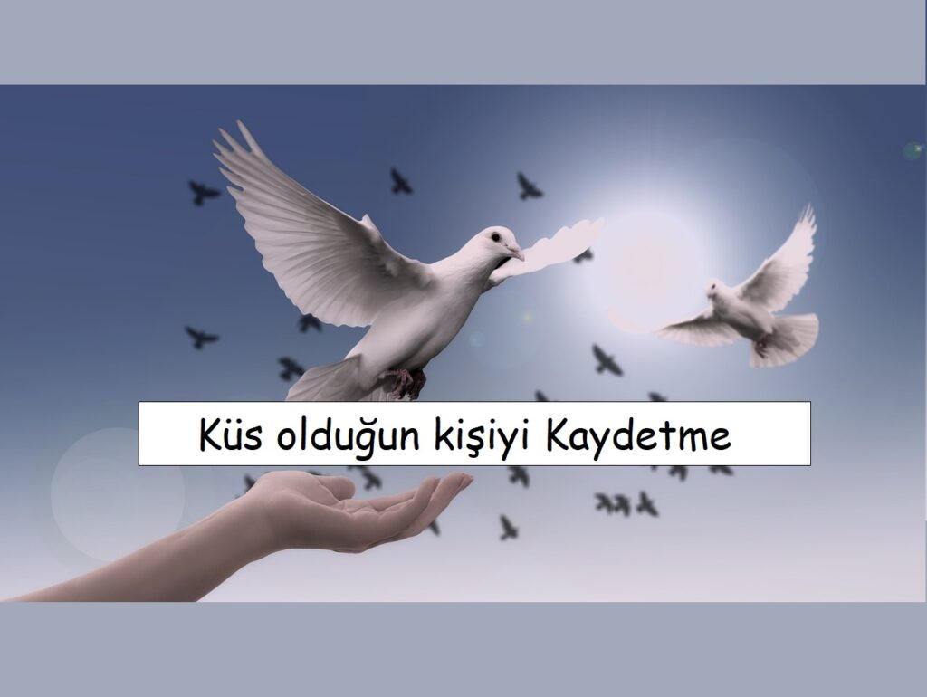 Küs Olduğun Kişiyi Rehbere Kaydetme İsimleri