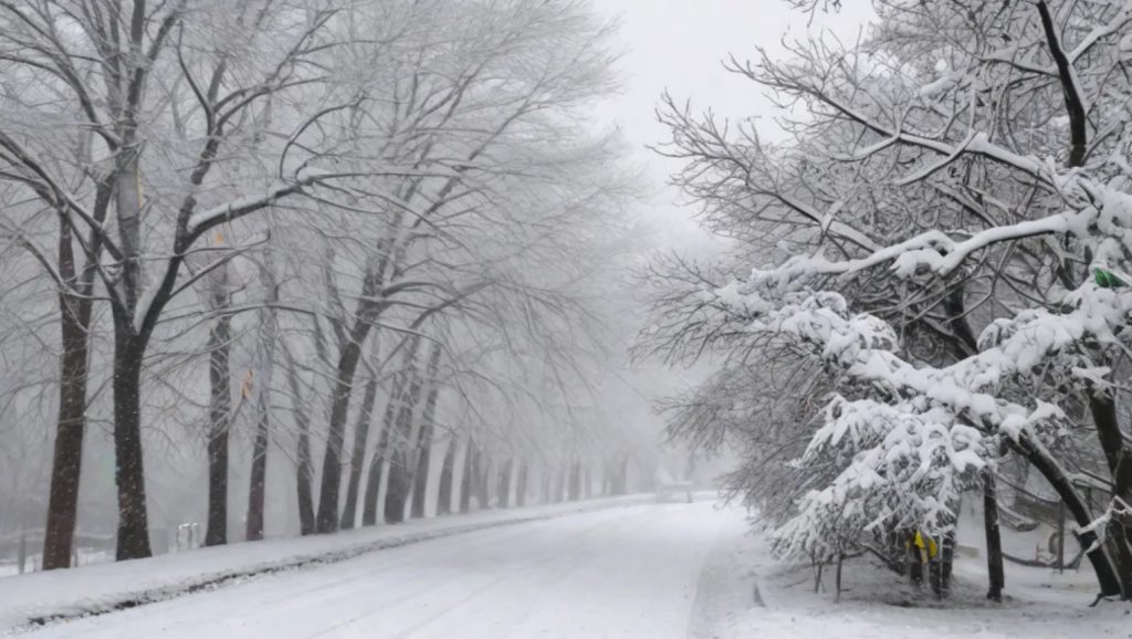❄️ Rüyada Kar Altında Kalmak Ne Anlama Gelir? (Çok Kar Yağması)