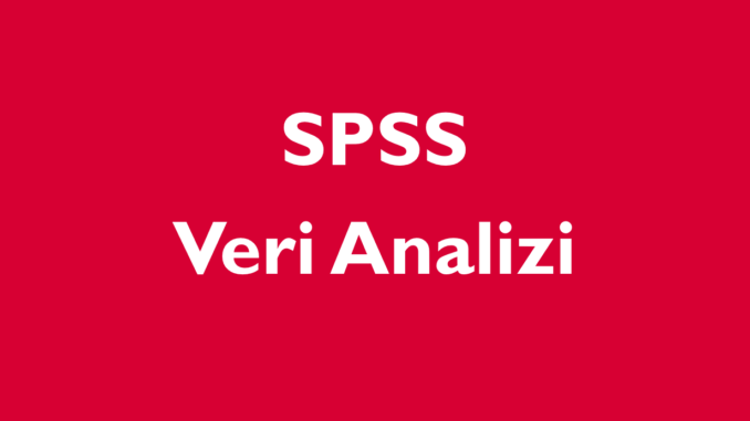 SPSS Yardımı ile Akademik Analizlerinizi Güvenle Tamamlayın
