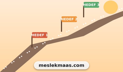 Kariyer Planlarken Maaş Verisine Neden İhtiyaç Duyarız?